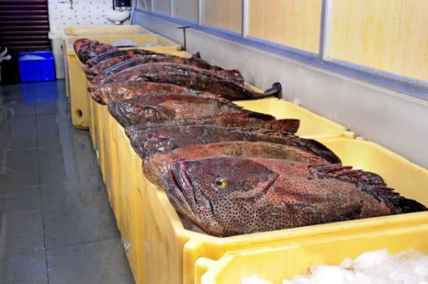 Fresh Seafood on the Beach_4